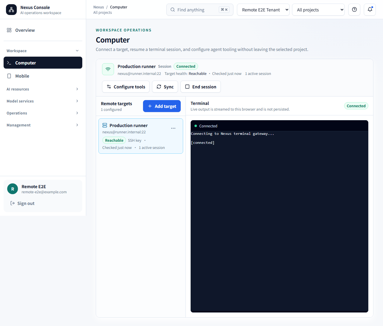 Nexus Console remote workspace terminal